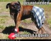 wpid-funny+Dog+Pictures+with+captions+5.jpeg