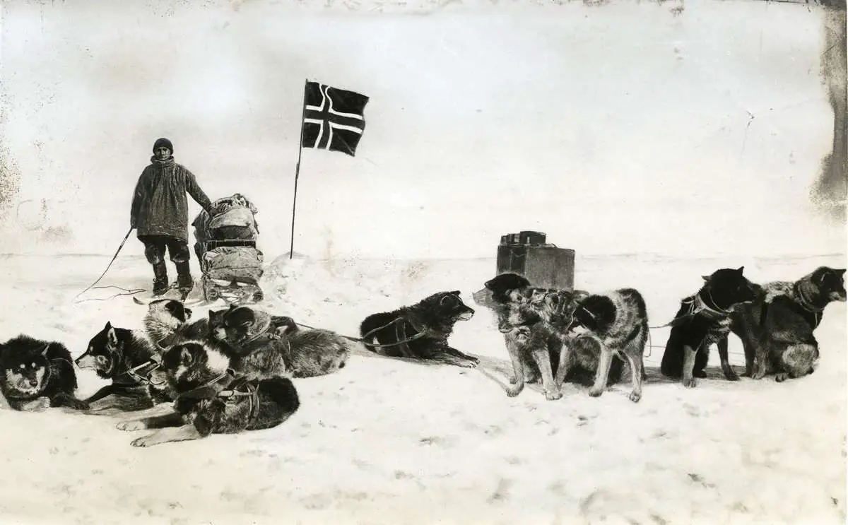 Roald Amundsen και κάποια από τα σκυλιά