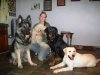 dogs 021.jpg