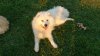 DSC00157.jpg