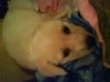 DSC00325.jpg