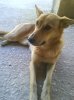 DSC01680.jpg
