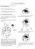 eyetacks.jpg