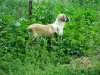 DSCF2745.jpg