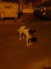DSC00077.jpg