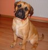 DSC00448.JPG