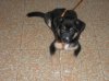 DSCN4914.jpg DSCN4914.jpg