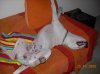 DSCN0670..jpg