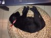 17032010078..jpg 17032010078..jpg