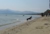 IMG_0079..jpg