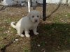 12042010577..jpg