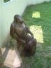 funny-animals..jpg