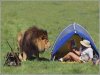 funny-pictures-h&#1.jpg