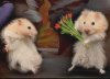 funny_animals_pi&#99.jpg