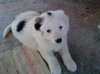DSC00101..jpg DSC00101..jpg