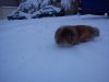DSC00544..jpg
