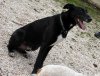 2012-02-05-DOGFORUM&.jpg