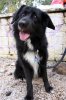 2012-02-05-DOGFORUM&.jpg