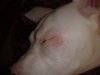 DSC02254..jpg