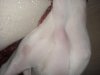 DSC02253..jpg