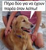 5..jpg
