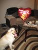 IMG_2213..jpg