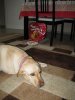 IMG_2222..jpg