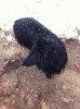 photo(11)..jpg