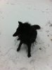 photo(8)..jpg