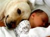 dog-and-baby..jpg
