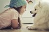 cool-cute-dog-fas.jpg