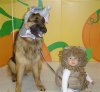 KIDSGermanShepher&.JPG