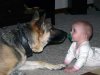 our-gentle-giant&#4.jpg