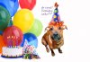 birthday boy copy.jpg