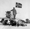 Amundsen - dogs..jpg
