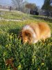 DSC00594.jpg