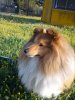 DSC00596.jpg