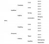genealogio2.jpg