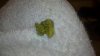 24122011600.jpg