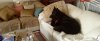 DSC02214.jpg
