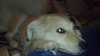 24032012034.jpg