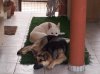 20120403_183828.jpg