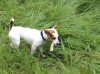 IMG_0281.jpg