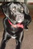 DSC02416.jpg