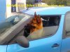 2012-04-13 18.21.03.jpg