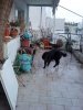 DSC02345.JPG