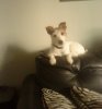 DSC02275.JPG