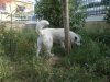 16042012128.jpg