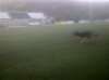 16042012261.jpg