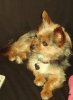 DSC04810.jpg